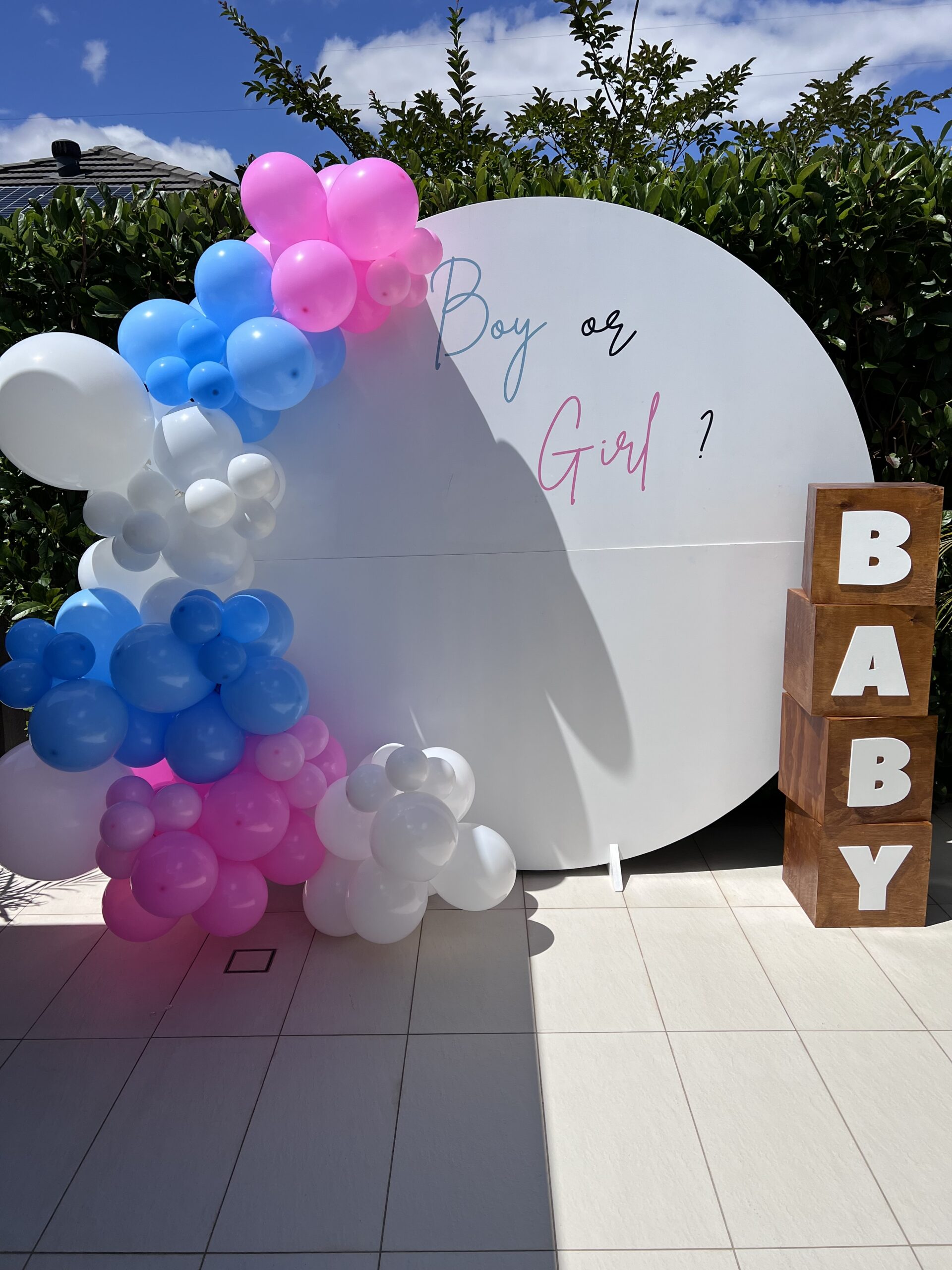 GenderRevealPackage1